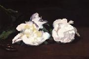 Edouard Manet Branch of White Peonies and Shears oil painting reproduction